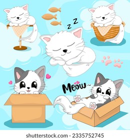 Cartoon cats character kittens different with blue background vector