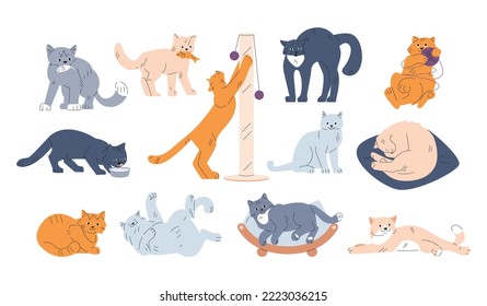 Cartoon cats characters. Cute various behavior funny cat. Fur kittens play, sleep and eat. Isolated playful kitty pets in different poses, kicky vector animal characters