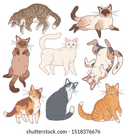 Cartoon cats. Cute kittens different colours, funny lazy cat. Adorable playful pets, home happy simple fun comic animals vector set