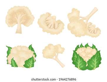 Cartoon cauliflower vector illustrations set. Whole cabbage with leaves, pieces of healthy vegetable isolated on white background. Organic food, vegetables, health concept