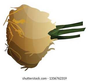 Cartoon celeriac vector illustration of vegetables on white background.