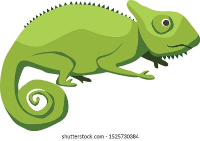 Cartoon chameleon flat vector illustration