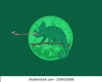 Cartoon Chameleon Green Jungle Forest Colorful Flat Retro Vector Illustration. Chameleon on the branch. Vector flat illustration. 