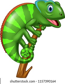 Cartoon chameleon on a branch