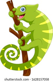 Cartoon chameleon on a branch