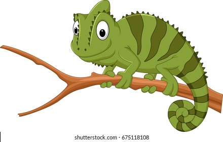 Cartoon chameleon on a branch