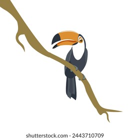 Un personaje de dibujos animados sobre un pájaro tucán. Un bonito tucán plano resaltado sobre un fondo blanco. Fauna de América del Sur. Ilustración de animales salvajes para publicidad de zoológicos, conceptos de naturaleza,