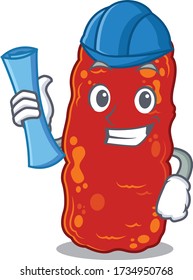 Cartoon character of acinetobacter bacteria brainy Architect with blue prints and blue helmet