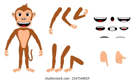 Cartoon Character Animation Set For Your Motion Design. Monkey Character Animation. Adobe Character. Toon Boom. Moho.