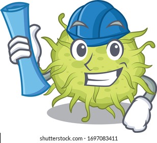 Cartoon character of bacteria coccus brainy Architect with blue prints and blue helmet