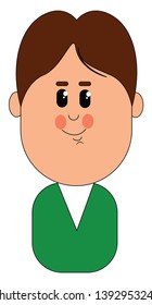 Cartoon character of a boy in a green shirt has a big face  and a closed smile turned up to his cheeks  vector  color drawing or illustration