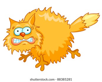 Cartoon Character Cat Isolated on White Background. Vector.