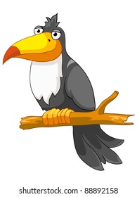 Cartoon Character Cockatoo Isolated on White Background. Vector.