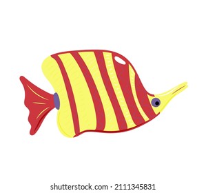 Cartoon character Coral fish isolated on white background. Hand drawn underwater aquatic creature. Template of cute ocean fish. Education card for kids learning animals. Vector design in cartoon style