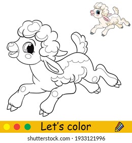 Cartoon character cute funny running lamb. Coloring book page with colorful template. Vector isolated contour illustration. For coloring book, preschool education, print and game.