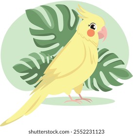 Cartoon character of cute korella cockatiel parrot from Australia vector illustration for kids