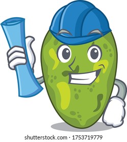 Cartoon character of cyanobacteria brainy Architect with blue prints and blue helmet