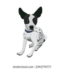 Cartoon character dalmatian dog. Flat vector illustration isolated on white background