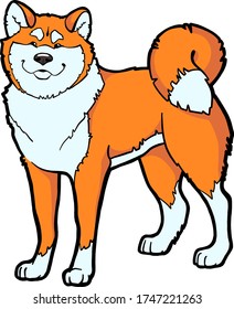 Cartoon Charakter Hund Akita Inu. Vector Hund auf isoliertem weißem Hintergrund. Akita Inu Aufkleber, Druck, Textilien. Karte für die Sammlung.