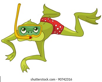 Cartoon Character Frog Isolated on White Background. Vector.
