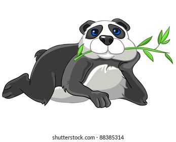 Funny Panda, personaje de caricatura aislado en fondo blanco. Vector.