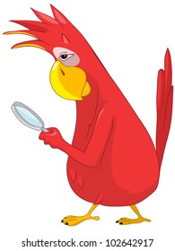 Cartoon Character Funny Parrot Isolated on White Background. Search. Vector EPS 10.