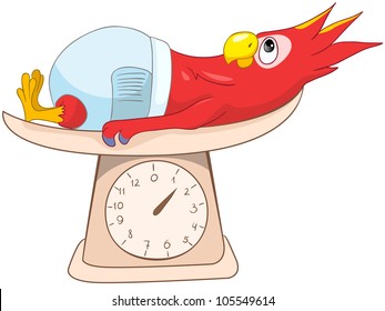 Cartoon Character Funny Parrot Isolated on White Background. Vector EPS 10.