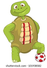 Personaje de caricatura Divertida Tortuga aislada en fondo blanco. EPS vectorial 10.