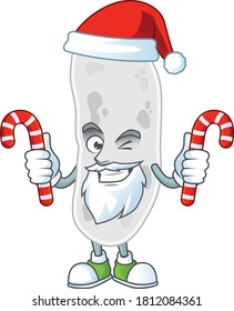 Cartoon character of gemmatimonadetes as a Santa having candies. Vector illustration