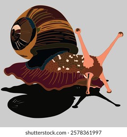 cartoon character illustration design of snail with black shadow