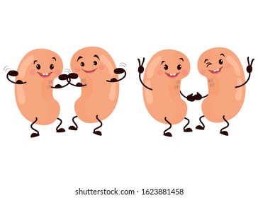 Cartoon character of a kidney. Cute human internal organ is joyful, happy, goes in for sports, cartoon, animation. Vector illustration