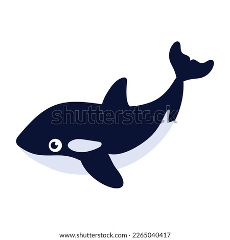 cartoon character killer whale, flat vector illustration of cute underwater animal isolated on white background