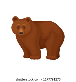 Cartoon character of large brown bear standing on four paws. Forest animal. Flat vector for promo flyer or poster of zoo