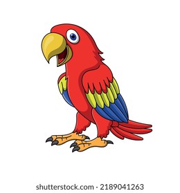 cartoon character multicolor parrot bird. vector