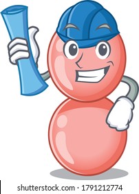Cartoon character of neisseria gonorrhoeae brainy Architect with blue prints and blue helmet