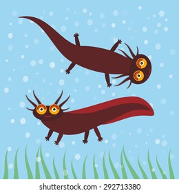 Cartoon character on blue background in the aquarium (eastern tiger salamander) aquarium animal. Vector