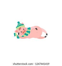 Cartoon character Piggy in a winter hat and scarf.
Symbol for the Chinese new year 2019. Vector illustration for design of posters,postcard,poster,banner,invitation, web site.