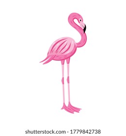 Cartoon character of pink tropical flamingo bird, vector illustration isolated on white background. Exotic animal or fauna element for textile prints and invitations.