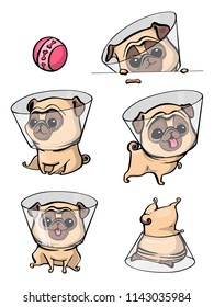 Cartoon character pug dog poses. Cute Pet dog in the flat style. Set dogs.