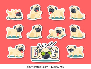 Cartoon character pug dog poses. Sticker cute Pet dog in the flat style.