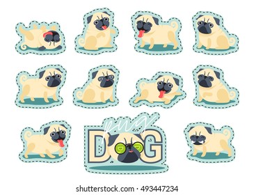 Cartoon character pug dog poses. Sticker cute Pet dog in the flat style.