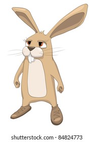 Conejo de caricatura aislado en fondo blanco. Vector.