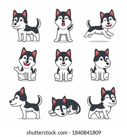 Cartoon character set of Siberian husky dog for design.