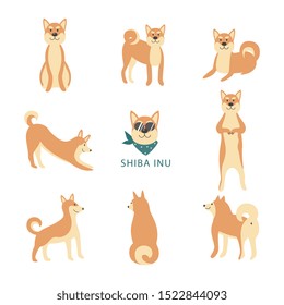 Caricatura de shiba u perro lindo en varias poses en ilustraciones planas vectoriales aisladas en fondo blanco. Cría divertida de animales de compañía, colección de cachorros.