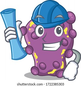 Cartoon character of shigella brainy Architect with blue prints and blue helmet