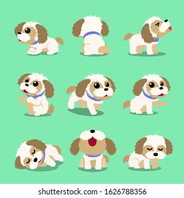 Cartoon character shih tzu dog poses for design.