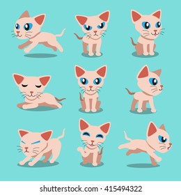 Personagem de desenho animado sphynx cat poses