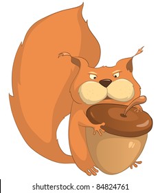 Cartoon Character Squirrel Isolated on White Background. Vector.