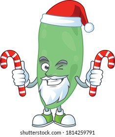 Cartoon character of thermus thermophilus as a Santa having candies. Vector illustration