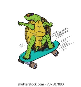 Cartoon character turtle in glasses green skateboard  hand drawn doodle sketch  isolated vector color illustration
